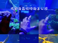 -海合安成都极地海洋公园