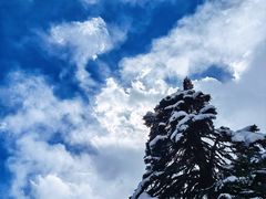 -贡嘎雪山