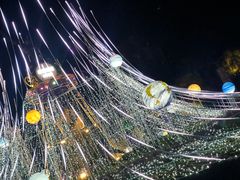 -常州环球恐龙城维景国际大酒店