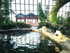 -大顶子山温泉旅游区