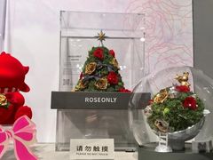 -ROSEONLY诺誓(国际广场购物中心店)