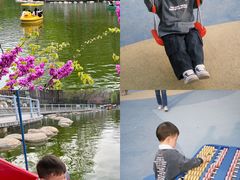 -莲湖公园