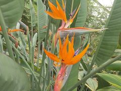 -南通洲际绿博园