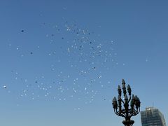 -淀里船宴(卓达店)