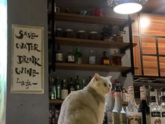 -咖法森林·咖啡  酒吧(天河店)