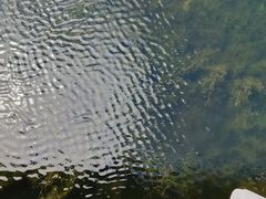 -哈尔滨大剧院