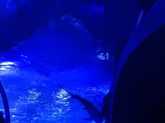 -江和美海洋公园