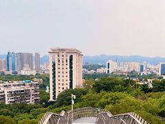 -福道