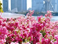 -上海港国际客运中心