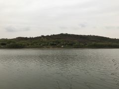 -羊山湖公园