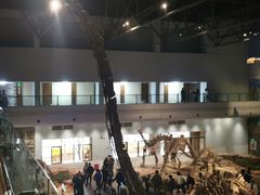 -自贡恐龙博物馆