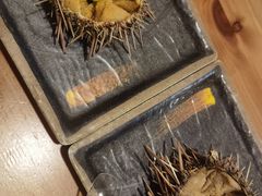 -海胆小馆(东北水饺·春柳店)