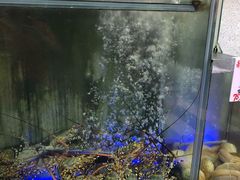 -旅南活海鲜-屏东(墾丁海鮮，海鮮餐廳，墾丁團體合菜，平價熱炒，墾丁熱炒店，活海鮮推薦，在地海鮮餐廳)