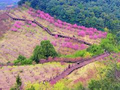 -原乡小镇度假乐园