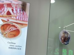 -自然之声助听器·呼吸机(康桥旗舰店)