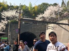 -岚山嵯峨野观光小火车