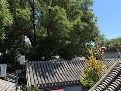 -四喜小胖·北京涮肉(五道营店)