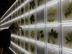 -广东中医药博物馆