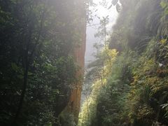 -广东大峡谷
