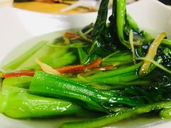 -鸽王世家(东华东路店)