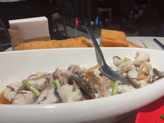 -滋粥楼·顺德菜(番禺广场总店)
