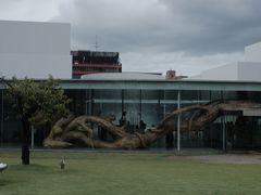 -金泽21世纪美术馆