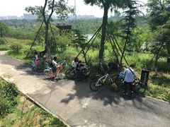 -三圣花乡旅游区