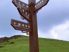 -大姆山草场