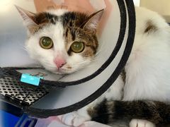 -畜牧兽医站(共江路店)