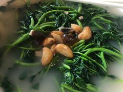 -顺德了能馆(虎门店)