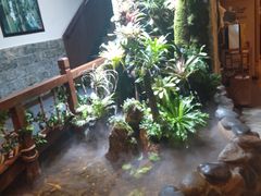 -银生食府·普洱菜(金星店)