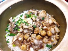 田鸡瑶柱煲仔饭-红星光发煲仔饭(文海店)