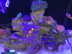 -Rabbit Cafe私房西餐甜点咖啡(栖霞路店)