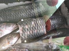 -老刘生态大鱼坊铁锅炖鱼(赛马场店)