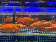 -锦色·烧鹅·海鲜(臻享店)