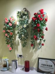 -变美丽半永久纹眉连锁·机器野生眉•洗眉