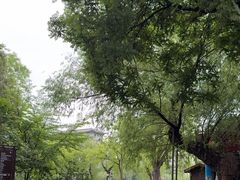 -文瀛公园