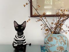 -北京山里寒舍度假酒店