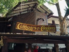 -卷心菜和避孕套餐厅(Pattaya)