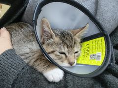 -宠颐生汉谟拉比宠物医院