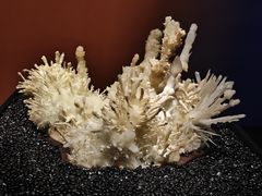 -山东博物馆