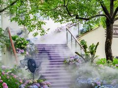 -上海滨江森林公园