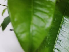 -宜昌富力皇冠假日酒店·咖啡1号西餐厅