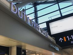 -关西国际机场直营免税店