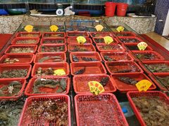 -煲仔王海鲜酒家