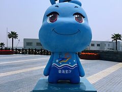-碧海金沙