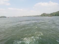 -西湖外事游船(花港观鱼码头)