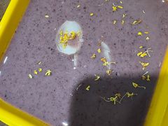 -玖鲜小笼(中山广场店)