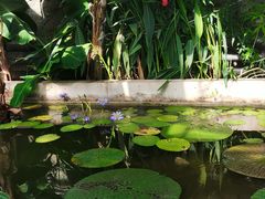 -国家植物园南园