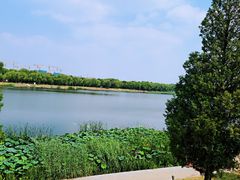 -素心小筑(后沙裕镇店)